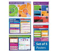 Daydream Education Data Representation Classroom Posters - Set of 5 - EXTRA LARGE - A1 (850mm x 594mm) - Gloss Paper - Computer Science Secondary School Wall Charts