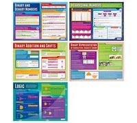 Daydream Education Data Representation Posters - Set of 5 | Computer Science Posters | Gloss Paper measuring 850mm x 594mm (A1) | STEM Posters for the Classroom | Education Charts