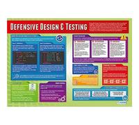 Daydream Education Defensive Design and Testing | Computer Science Posters | Gloss Paper measuring 850mm x 594mm (A1) | STEM Posters for the Classroom | Education Charts