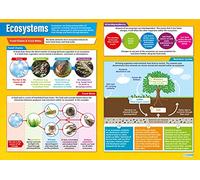 Daydream Education Ecosystems | Geography Posters | Gloss Paper measuring 850mm x 594mm (A1) | Geography Classroom Posters | Education Charts