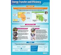 Daydream Education Energy Transfer and Efficiency | Science Posters | Laminated Gloss Paper measuring 850mm x 594mm (A1) | Science Charts for the Classroom | Education Charts