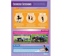 Daydream Education Exercise Sessions | PE Posters | Gloss Paper measuring 850mm x 594mm (A1) | Physical Education Charts for the Classroom | Education Charts