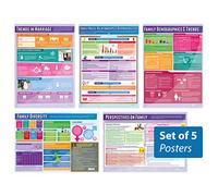 Daydream Education Family Diversity Posters - Set of 5 | Sociology Posters | Gloss Paper measuring 850mm x 594mm (A1) | Sociology Class Posters | Education Charts