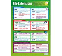 File Extensions | ICT Posters | Gloss Paper measuring 850mm x 594mm (A1) | Computing Charts for the Classroom | Education Charts by Daydream Education