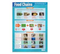 Daydream Education Food Chains | Science Posters | Gloss Paper measuring 850mm x 594mm (A1) | Science Charts for the Classroom | Education Charts