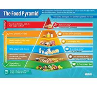 Daydream Education Food Pyramid Poster, Gloss Paper Extra Large A1 (850 mm x 594 mm) - Science Wall Chart for Classroom & Home