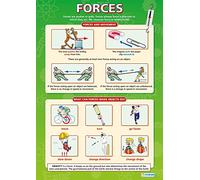 Daydream Education Forces | Science Posters | Laminated Gloss Paper measuring 850mm x 594mm (A1) | Science Charts for the Classroom | Education Charts