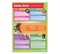 Daydream Education General Health | PE Posters | Laminated Gloss Paper measuring 850mm x 594mm (A1) | Physical Education Charts for the Classroom | Education Charts