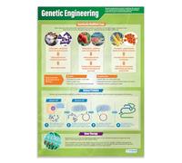 Daydream Education Genetic Engineering | Science Posters | Gloss Paper measuring 850mm x 594mm (A1) | Science Charts for the Classroom | Education Charts