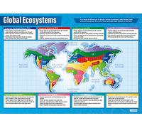 Daydream Education Global Ecosystems | Geography Posters | Laminated Gloss Paper measuring 850mm x 594mm (A1) | Geography Classroom Posters | Education Charts