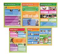 Health, Fitness and Well-Being Posters - Set of 5 | PE Posters | Laminated Gloss Paper 850mm x 594mm (A1) | Physical Education Charts for the Classroom | Education Charts by Daydream Education