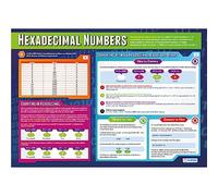 Daydream Education Hexadecimal Numbers | Computer Science Posters | Laminated Gloss Paper measuring 850mm x 594mm (A1) | STEM Posters for the Classroom | Education Charts
