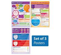Daydream Education Introduction to Sociology Posters - Set of 3 | Sociology Posters | Laminated Gloss Paper measuring 850mm x 594mm (A1) | Sociology Class Posters | Education Charts