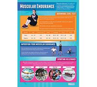 Daydream Education Muscular Endurance | PE Posters | Laminated Gloss Paper measuring 850mm x 594mm (A1) | Physical Education Charts for the Classroom | Education Charts
