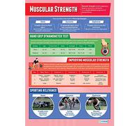 Daydream Education Muscular Strength | PE Posters | Laminated Gloss Paper measuring 850mm x 594mm (A1) | Physical Education Charts for the Classroom | Education Charts