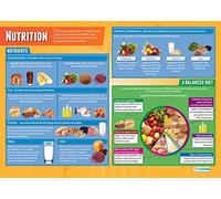 Daydream Education Nutrition Poster - EXTRA LARGE - A1 (850mm x 594mm) - Gloss Paper - PSHE Secondary School Wall Charts