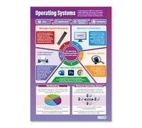 Daydream Education Operating Software | ICT Posters | Laminated Gloss Paper measuring 850mm x 594mm (A1) | Computing Charts for the Classroom | Education Charts