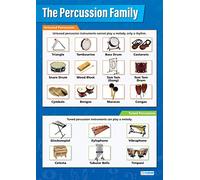 Percussion Instruments | Music Posters | Laminated Gloss Paper measuring 850mm x 594mm (A1) | Music Charts for the Classroom | Education Charts by Daydream Education