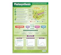 Daydream Education Photosynthesis Science Poster - EXTRA LARGE - A1 (850mm x 594mm) - Laminated - Science Secondary School Wall Charts