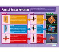 Daydream Education Planes & Axes of Movement | PE Posters | Laminated Gloss Paper measuring 850mm x 594mm (A1) | Physical Education Charts for the Classroom | Education Charts