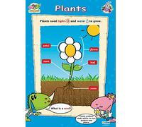 Daydream Education Plants | Early Years & Primary School Posters | Gloss Paper Measuring 485mm × 648mm (C1) | Children’s Learning for The Classroom | Education Charts