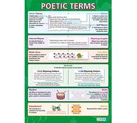Daydream Education Poetic Terms | English Literature Posters | Laminated Gloss Paper measuring 850mm x 594mm (A1) | English Lit Classroom Posters | Education Charts