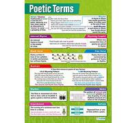 Daydream Education Poetic Terms | English Posters | Gloss Paper measuring 850mm x 594mm (A1) | Language Classroom Posters | Education Charts