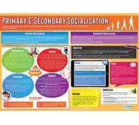 Daydream Education Primary & Secondary Socialisation | Sociology Posters | Laminated Gloss Paper measuring 850mm x 594mm (A1) | Sociology Class Posters | Education Charts