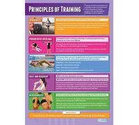 Principles of Sports Training | PE Posters | Gloss Paper measuring 850mm x 594mm (A1) | Physical Education Charts for the Classroom | Education Charts by Daydream Education