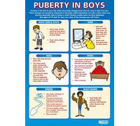 Daydream Education Puberty in Boys | PSHE Posters | Gloss Paper measuring 850mm x 594mm (A1) | PSE Classroom Posters | Education Charts