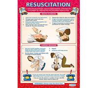Daydream Education Resuscitation | PSHE Posters | Laminated Gloss Paper measuring 850mm x 594mm (A1) | PSE Classroom Posters | Education Charts