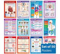 Daydream Education Science Classroom Posters - Set of 50 - Gloss Paper - LARGE FORMAT - 850mm x 594mm (A1) - STEM Classroom Decoration