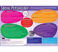 Social Psychology | Psychology Posters | Gloss Paper measuring 850mm x 594mm (A1) | Psychology Charts for the Classroom | Education Charts by Daydream Education