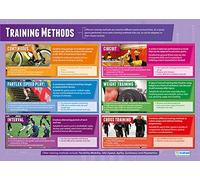 Daydream Education Sports Training Methods | PE Posters | Laminated Gloss Paper measuring 850mm x 594mm (A1) | Physical Education Charts for the Classroom | Education Charts
