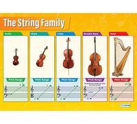 Daydream Education String Instruments Family | Music Posters | Gloss Paper measuring 850mm x 594mm (A1) | Music Charts for the Classroom | Education Charts