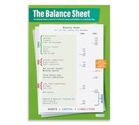 Daydream Education The Balance Sheet | Business Posters | Laminated Gloss Paper measuring 850mm x 594mm (A1) | Business Class Posters | Education Charts