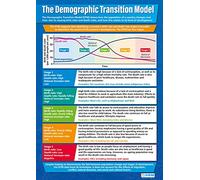 Daydream Education The Demographic Transition Model | Geography Posters | Gloss Paper measuring 850mm x 594mm (A1) | Geography Classroom Posters | Education Charts