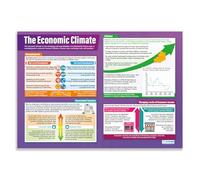 Daydream Education The Economic Climate | Business Posters | Gloss Paper measuring 850mm x 594mm (A1) | Business Class Posters | Education Charts