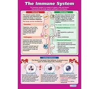 Daydream Education The Immune System | Science Posters | Gloss Paper measuring 850mm x 594mm (A1) | Science Charts for the Classroom | Education Charts