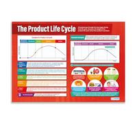 Daydream Education The Product Life Cycle | Business Posters | Gloss Paper measuring 850mm x 594mm (A1) | Business Class Posters | Education Charts