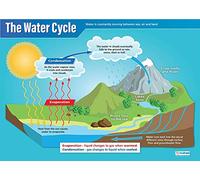 Daydream Education The Water Cycle | Science Posters | Laminated Gloss Paper measuring 850mm x 594mm (A1) | Science Charts for the Classroom | Education Charts