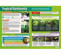 Daydream Education Tropical Rainforests | Geography Posters | Laminated Gloss Paper measuring 850mm x 594mm (A1) | Geography Classroom Posters | Education Charts