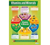 Daydream Education Vitamins & Minerals | PE Posters | Laminated Gloss Paper measuring 850mm x 594mm (A1) | Physical Education Charts for the Classroom | Education Charts