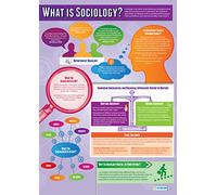 Daydream Education What is Sociology | Sociology Posters | Gloss Paper measuring 850mm x 594mm (A1) | Sociology Class Posters | Education Charts