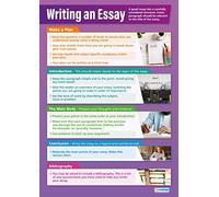 Daydream Education Writing an Essay | Life Skills Posters | Laminated Gloss Paper measuring 850mm x 594mm (A1) | Functional Skills Classroom Posters | Education Charts