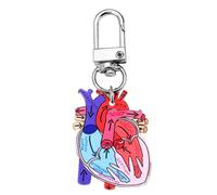 DAYLIGHE Anatomical Heart Keychain Pendant Educational Keyrings Accessory for Physical Students and Healthcare Professionals Anatomy Diagram Keychain