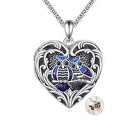 DAYLINLOVE Owl Locket Necklace 925 Sterling Silver Owl Heart Locket Pendant That Holds 1-2 Pictures Heart Shaped Jewellery Commemorative Gift for Women Men