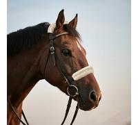 DayoVortex Soft Fleece Horse Halter Cover - Prevents Horse Halter rubbing on Horse's face - Ideal for Fleece Halter Covers (Standard, Cream)