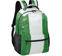 Daypack Modern Style Peach Skin Lining Standable Design for Teens 7-18 | Nigeria Flag Nigerian National Green