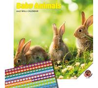 Dayplanner Publishing Baby Animals Calendar 2027, Large with Stickers | Large square 16-month wall calendar with organisational stickers, ideal as a Baby Animals gift.
